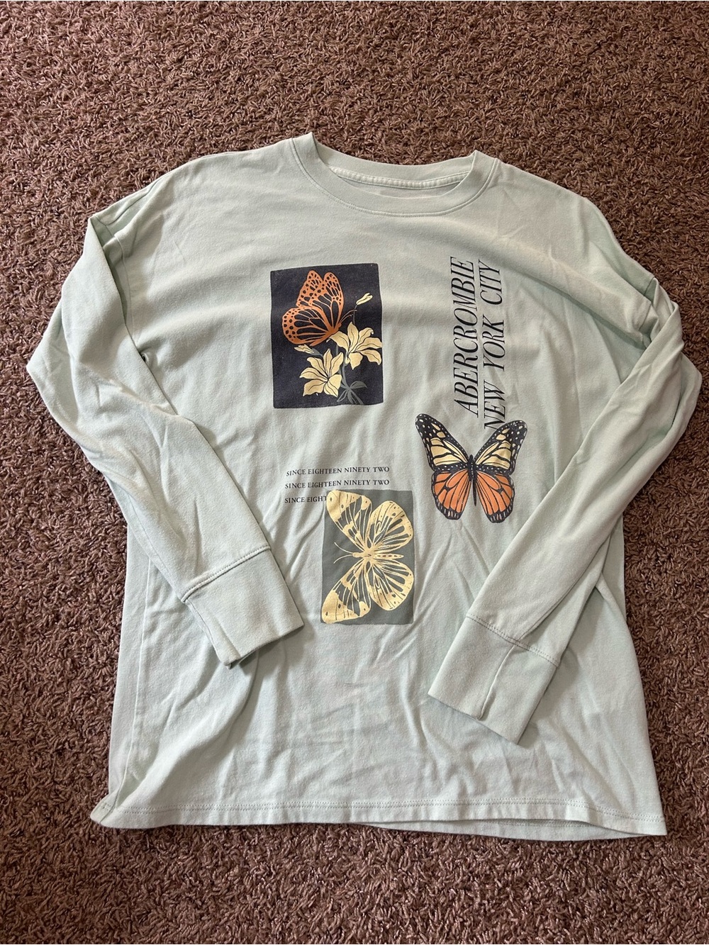 abercrombie kids Mint Green Long Sleeve Tee with Butterfly Graphic